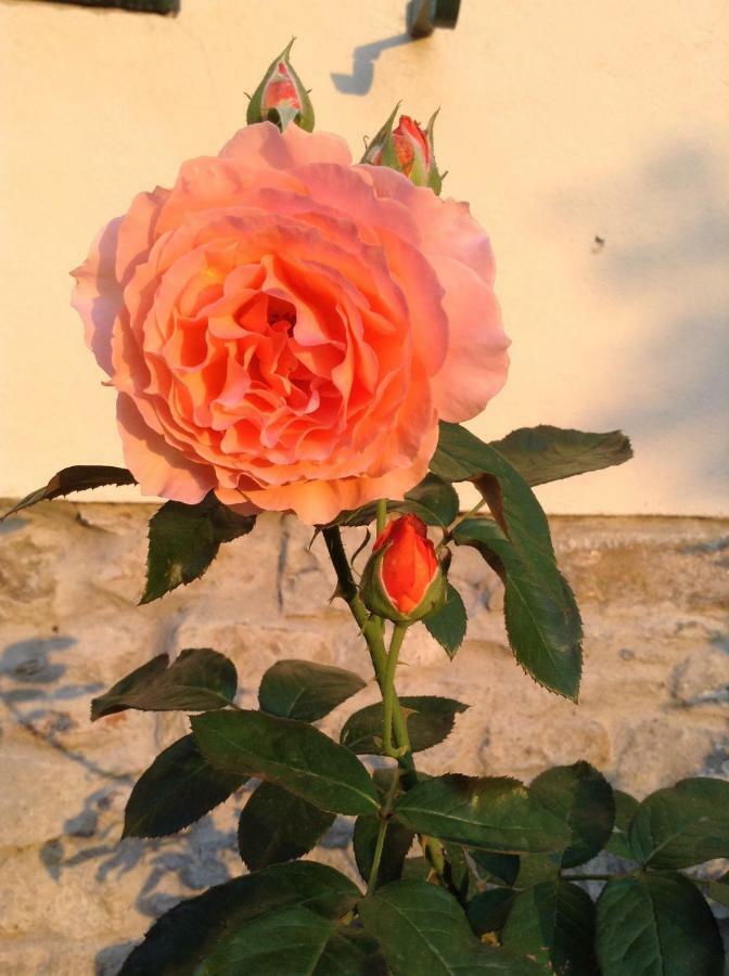 Fiesole In Giardino B&B Екстер'єр фото