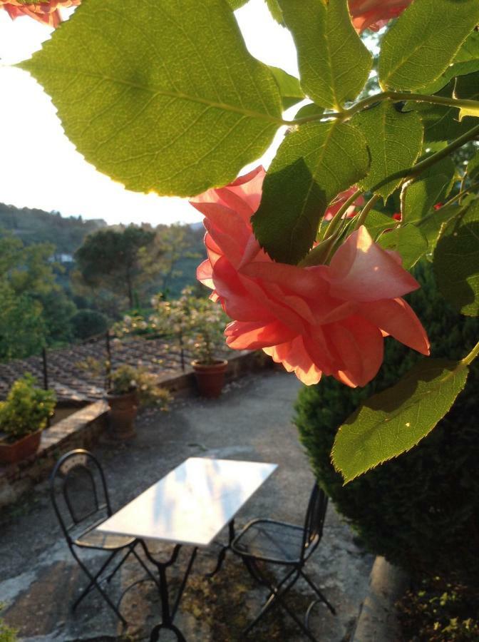 Fiesole In Giardino B&B Екстер'єр фото